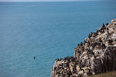 麦克演员认为《GTA6》女主角将带来新鲜刺激体验